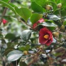 한걸음 여행사 이미지