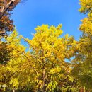 보라매공원 이미지