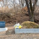 순국열사 추모길 이미지