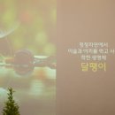 한불뷰티샵 이미지