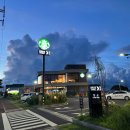 세화코리아 | 제주세화 스타벅스DT점 피치 요거트 블렌디드 핵노맛