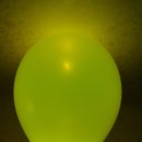 라비코리아 이미지