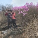 여수시 중흥동(영취산510m) 산행(2) 이미지