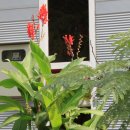 은하수펜션 이미지