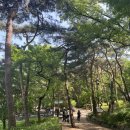 정상길 | [취미/등산] 아차산에서 용마산까지 초보산 등산 후기/아차산정상길코스 안내