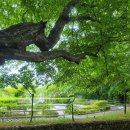 물소리새소리 이미지