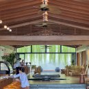 [일반과정][5/15] 실생활에 활용하는 힐링타로(클래스) | [2025 여름휴가 푸꾸옥#1]베트남 푸꾸옥 리조트 리뷰/푸꾸옥 두짓 프린세스 문라이즈 비치 리조트/Dusit...