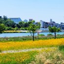 금호강주유소 이미지