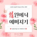 [공지] [공릉필라테스ㅣ필라테스정원] 필라테스 情(정)..원한다면 ! EVENT!(앵콜)