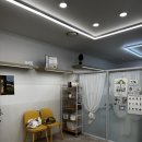 제니스펫 이미지