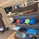 에이치에스 글로벌 이미지