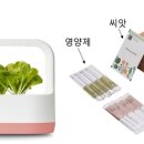 씨앗컴퍼니