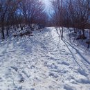 파평용연 이미지