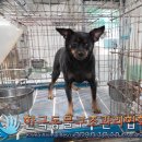 양천로 61길 이미지