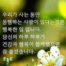 지금 나와 그대가 있어야 할 자리 이미지