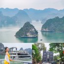 석주약국 | 베트남 하롱베이 효도 여행 크루즈 투어 비용 자유 패키지 추천