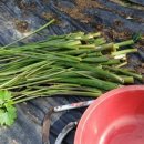 늘갓농장 이미지