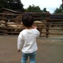 닛시김밥 이미지