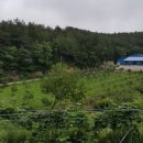 너래농원 이미지