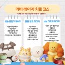 커비동물병원 이미지