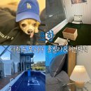 더원유포리아풀빌라 이미지