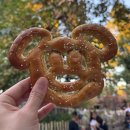 주식회사 신밧드코리아 | Day 05 LA. 디즈니랜드파크 &amp; 캘리포니아 어드벤처파크