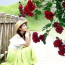 개도널사랑해 이미지