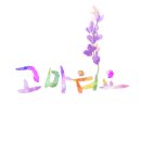 수수코스