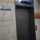 리슈빌딩 이미지