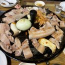 겨울잠 자기전 food fight