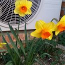 수경민박 이미지