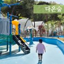 다온숲 | 세종 다온숲 당일 글램핑 후기, 키즈 캠핑장으로 찰떡
