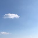 하이롤러울산