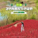 느티나무길>금강공원길 | 강원도 영월 여행코스 강변저류지수변공원 느티나무언덕 사진 명소 추천