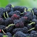 오디하우스 이미지