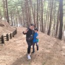 삼척동자 유아숲체험원 이미지