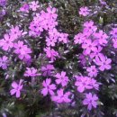 이리여자고등학교 이미지