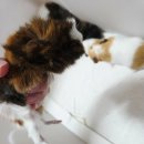 매산리 538 이미지