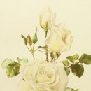 보태니컬 드로잉 이미지