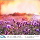 크린크린세탁(빨래방) 이미지