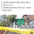 사랑제일교회 확진 438명…8월 경복궁·광화문 집회 최소 10명 참석(종합) 이미지