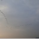 녹번-042 이미지