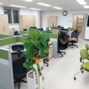 도시철도 배산역 2번출구 이미지