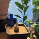 철용농장 이미지