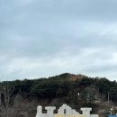 리틀미코노스8 이미지