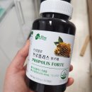 트루블루 | 코스트코 영양제 트루블루 프로폴리스 포르테 솔직후기