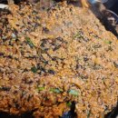 한림 생 약국 이미지