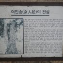 목포 부근 Daum카페