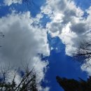 연잎밥상 이미지