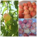 한나농장 이미지